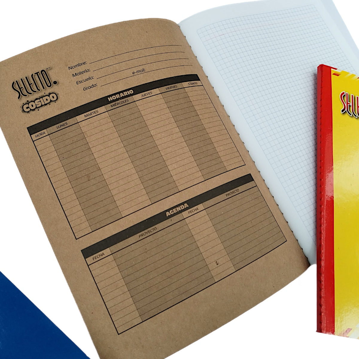 6 Pack Libretas Profesionales Selecto 100 Hojas Cocidas - Farvisan