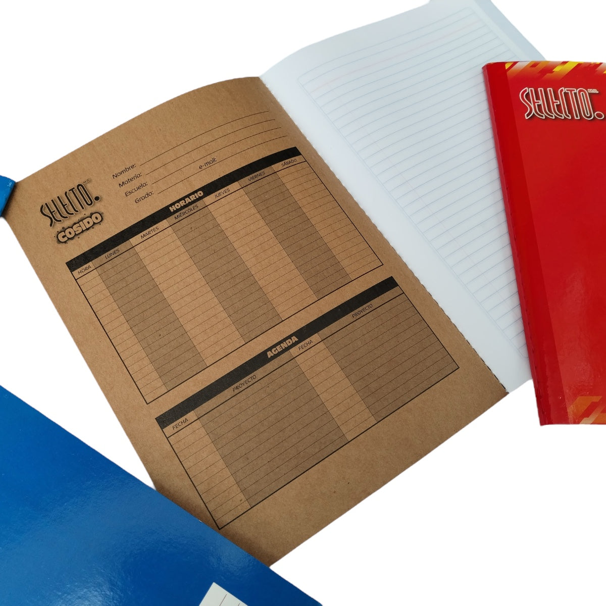 6 Pack Libretas Profesionales Selecto 100 Hojas Cocidas - Farvisan