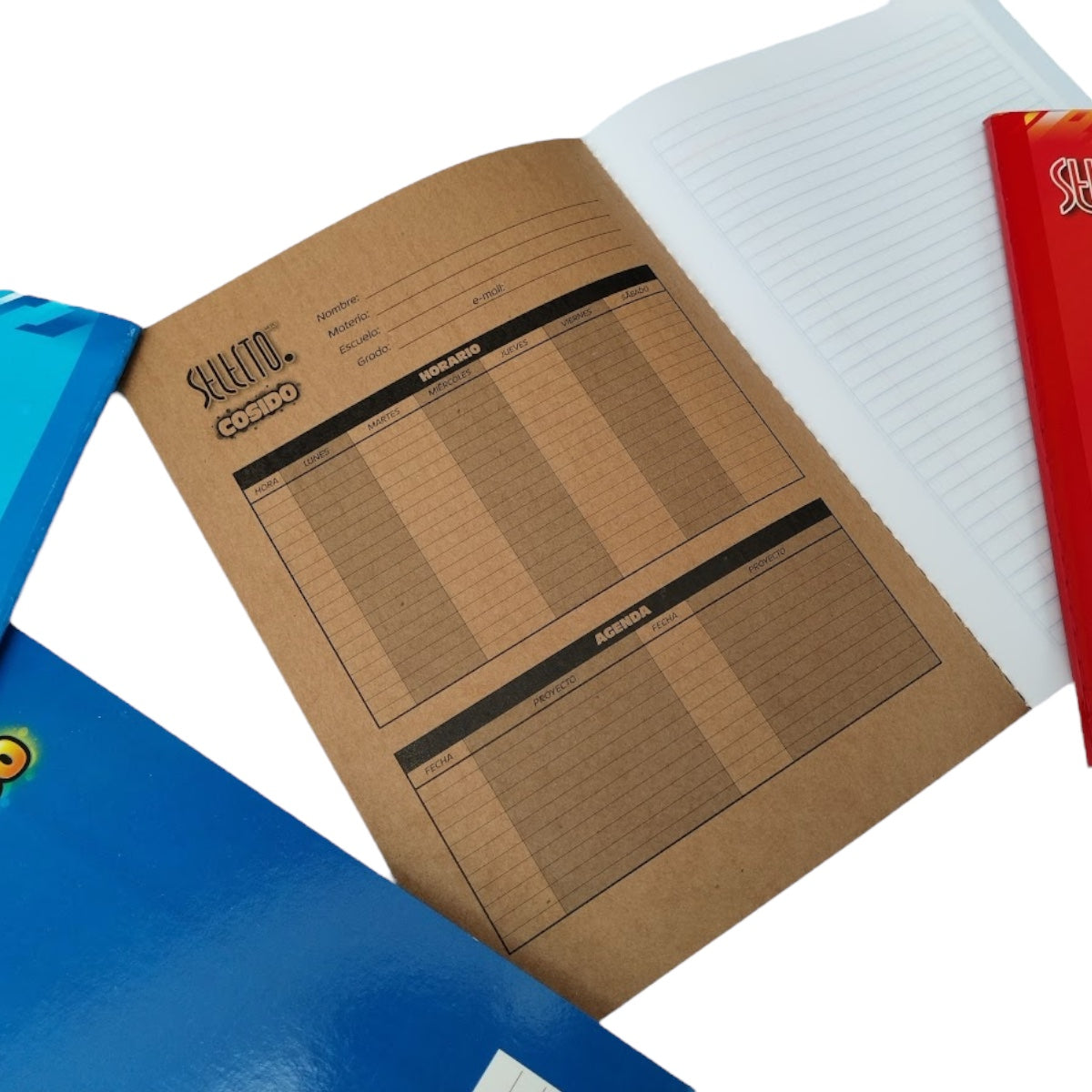 6 Pack Libretas Profesionales Selecto 100 Hojas Cocidas - Farvisan