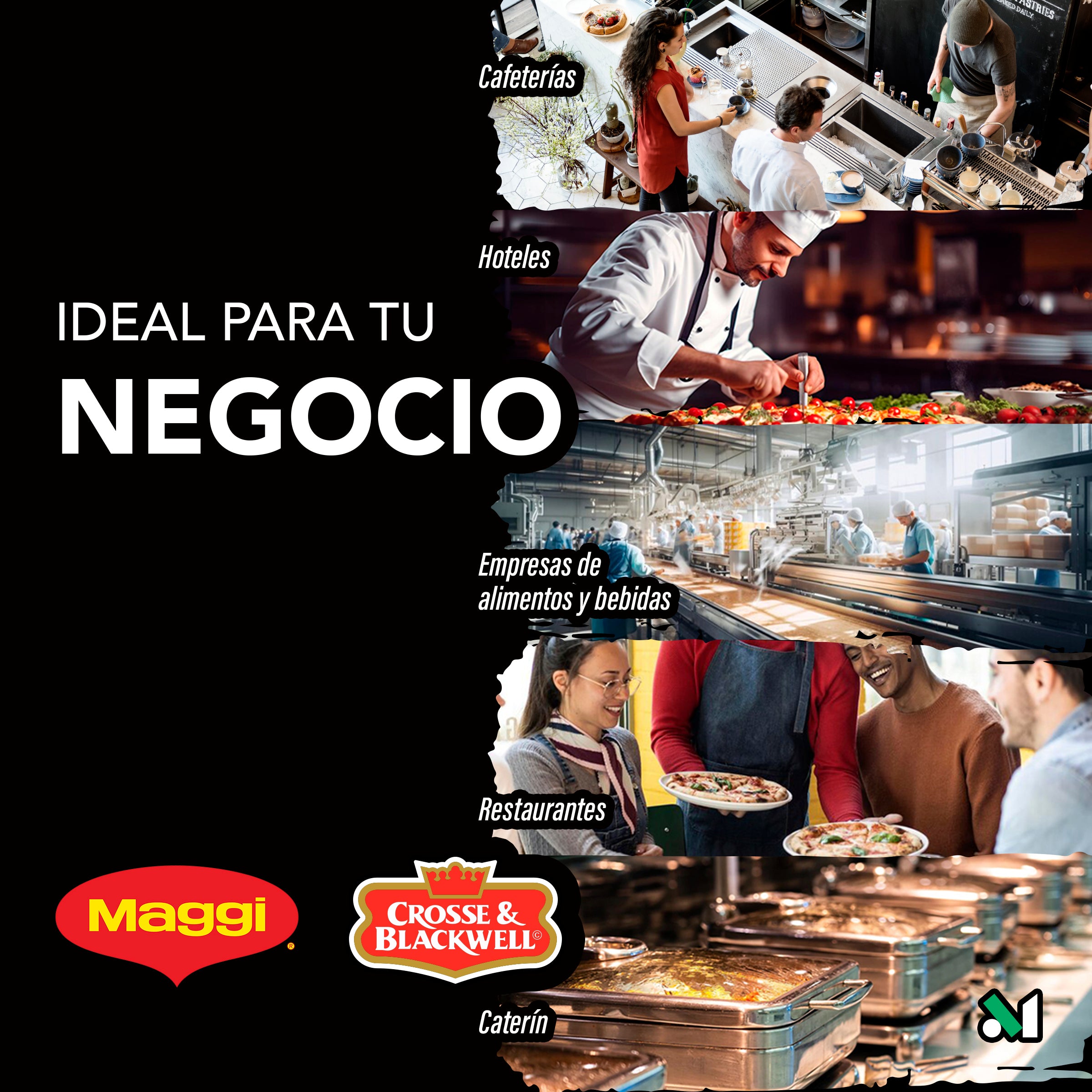 Caja con 4 Botellas de Jugo Sazonador Michemix Maggi 1.9L – Ideal para Micheladas y Mariscos - Farvisan