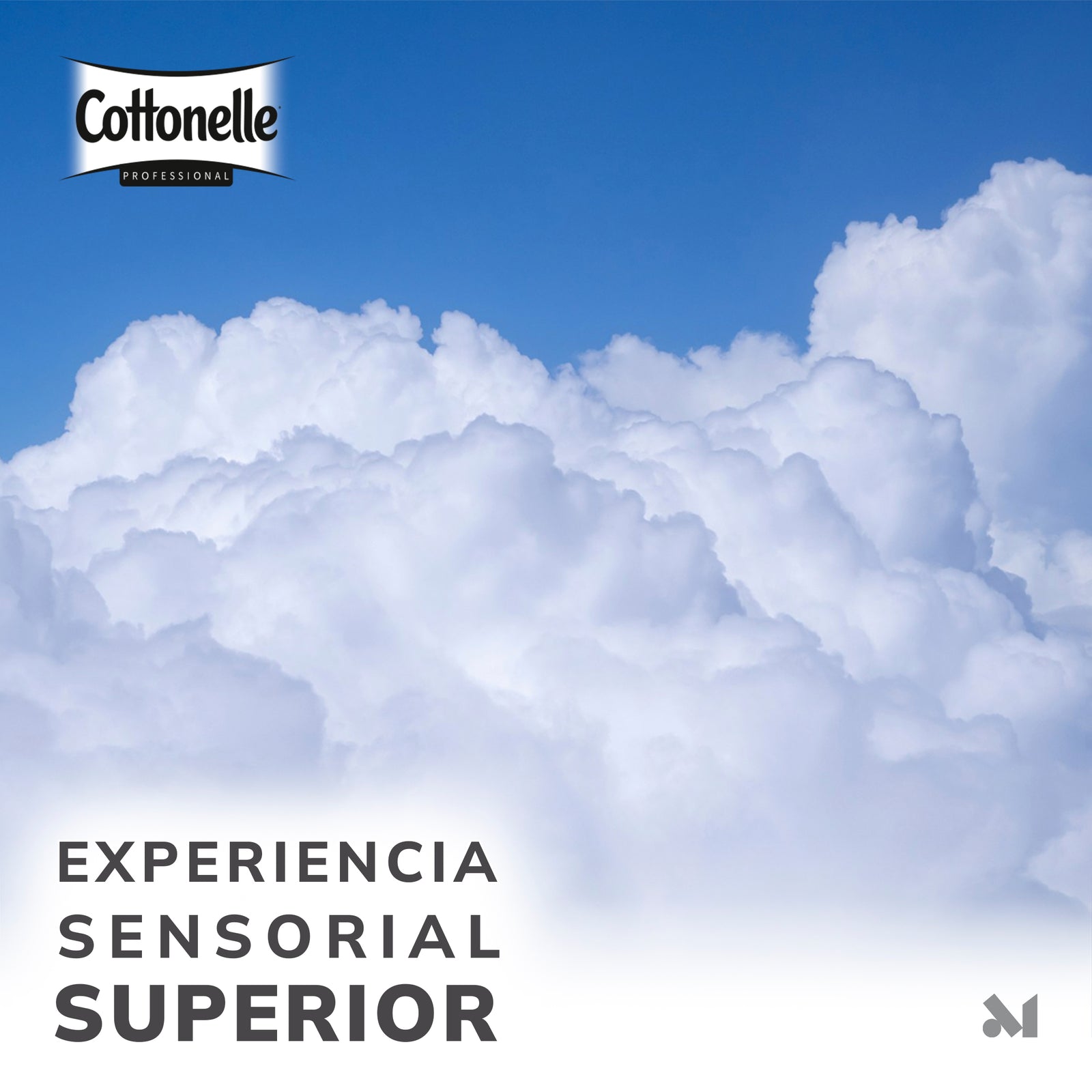  Kleenex Cottonelle Profesional