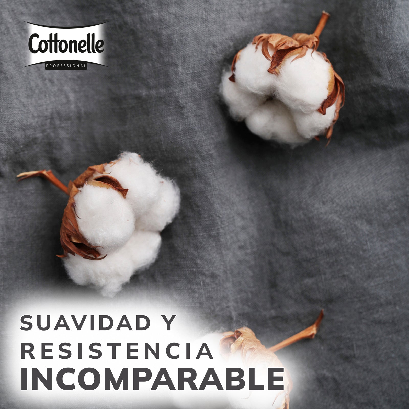  Kleenex Cottonelle Profesional