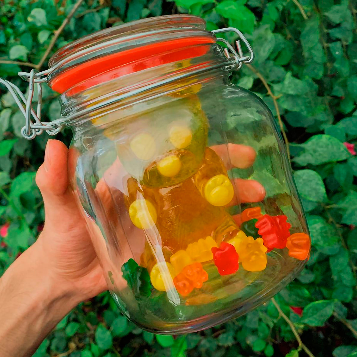 Caja con 20 Gomitas Gigantes Pandita – Sabores Surtidos: Fresa, Limón, Mora Azul y Piña - Farvisan