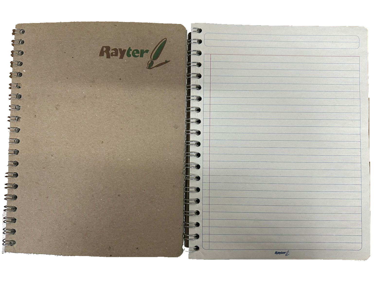 6 Pack Libretas Profesionales Ecológicas Rayter Cuadro Grande 100 Hojas Doble Aro - Farvisan