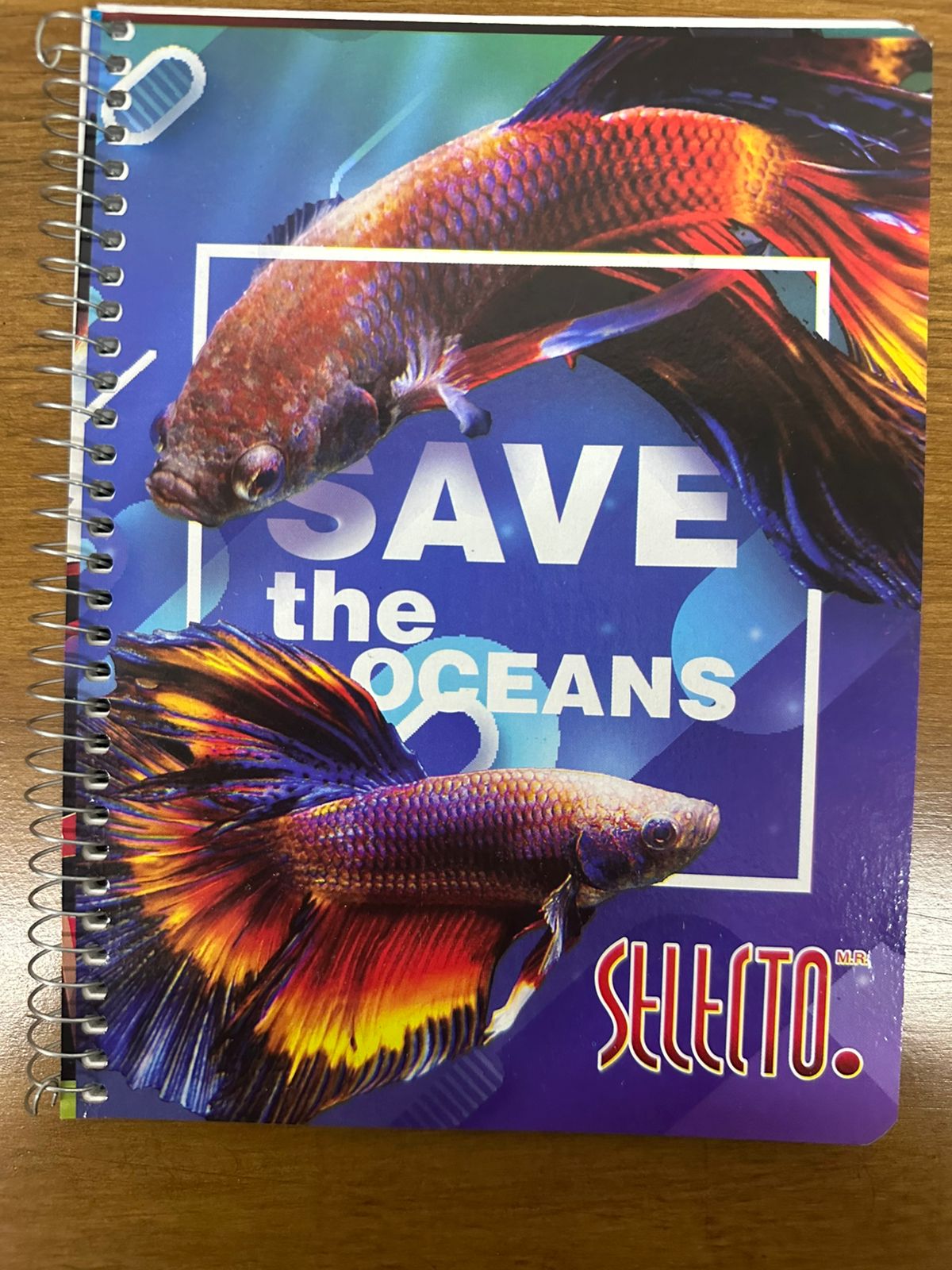6 Pack Libretas Francesas Selecto Cuadro grande 100 Hojas 15x20 cm - Farvisan